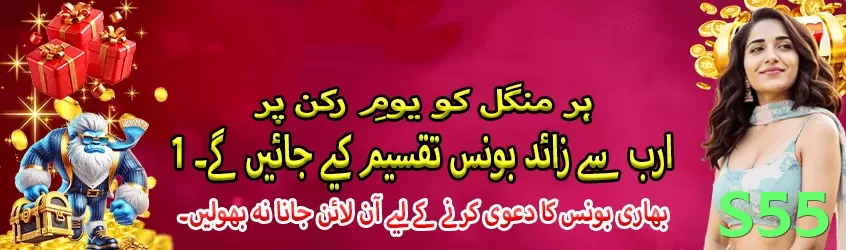 s55 game app for Pakistan players - 3